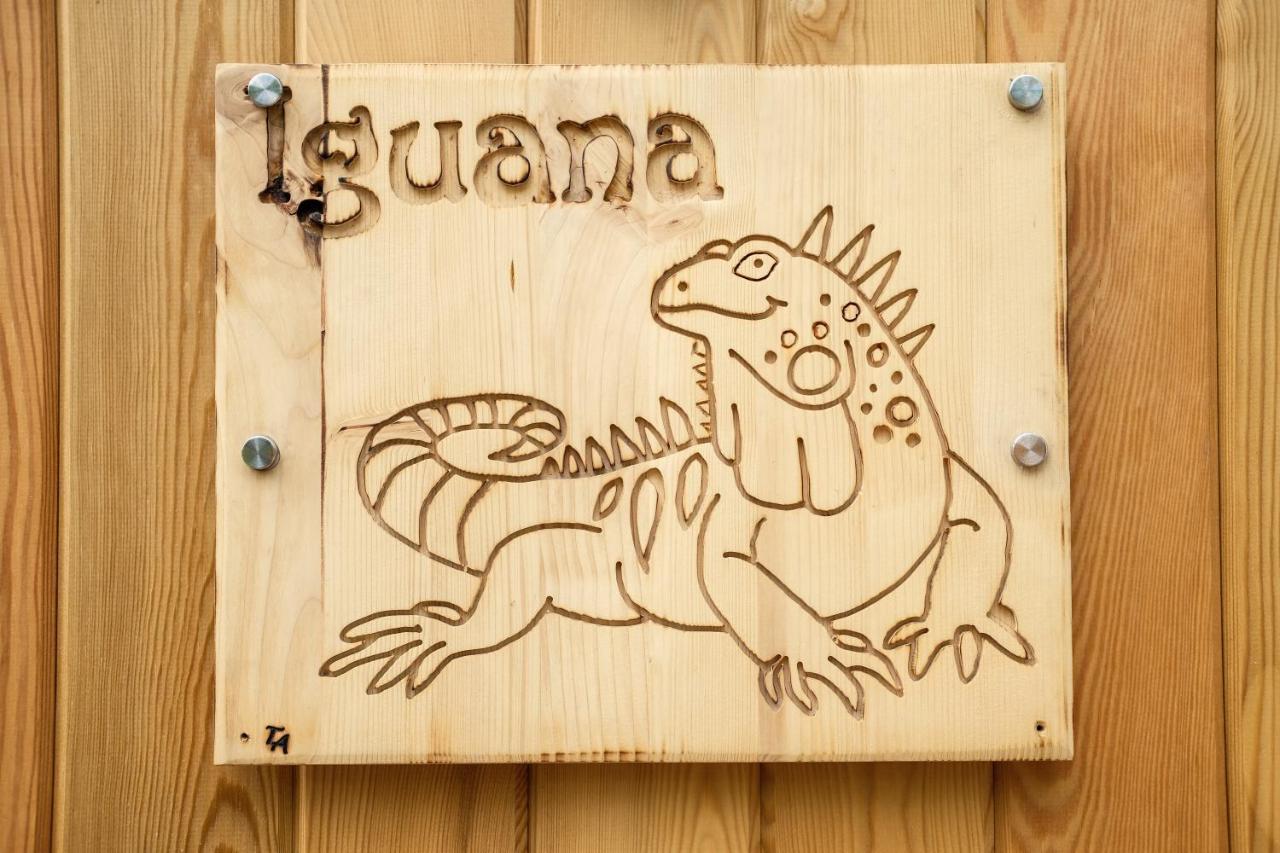 Iguana - Das Tiny Haus Am Reptilienzoo Reptilium Ландау  Экстерьер фото